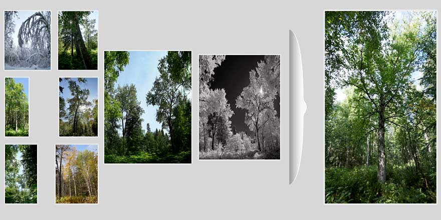 e66-image-Haut